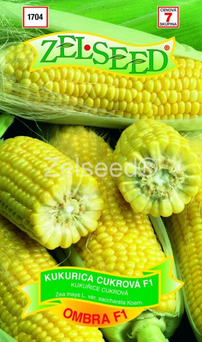 Kukuřice cukrová Ombra F1 - pozdní (Zelseed)