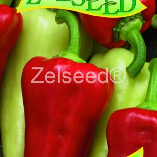 Paprika zeleninová Viki Zel - sladká, žlutozelená-červená, kapie, polní (Zelseed)