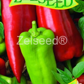 Paprika zeleninová Tonka - zelená-červená, kapie, polní (Zelseed)