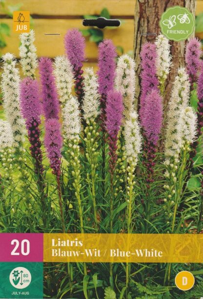 Šuškarda (liatris) Blue-White (20 cibulí, fialová a bílá, XXL karta)