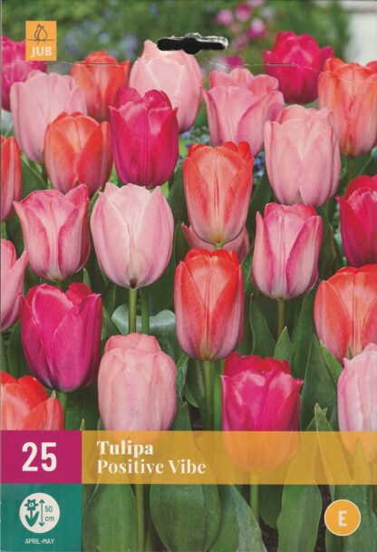 Tulipán Positive Vibe (25 cibulí, směs, XXL karta)