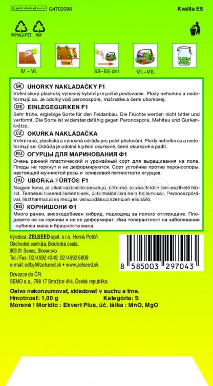 Okurka nakladačka Heliana F1 - hruboostná, velmi raná, odolná plísni (pěstování)
