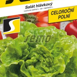 Salát hlávkový Safírus - celoroční, polní (Semo)