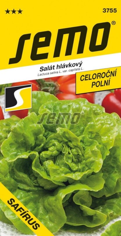 Salát hlávkový Safírus - celoroční, polní (Semo)