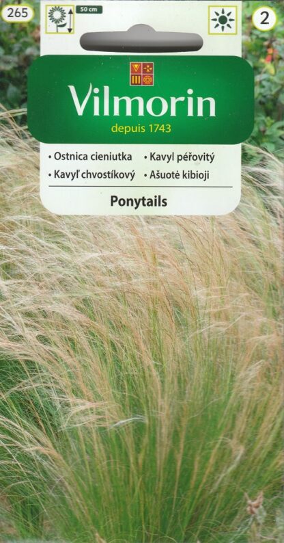 Kavyl péřovitý Ponytails - mexická okrasná tráva (Vilmorin)