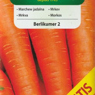 Mrkev Berlikumer 2 - pozdní, o 50 % větší balení (Vilmorin)