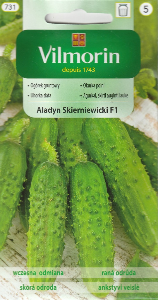 Okurka polní Aladyn Skierniewicki F1 - nakládačka, hruboostná, odolná plísni (Vilmorin) Okurka polní Aladyn Skierniewicki F1 - nakládačka, hruboostná, odolná plísni (Vilmorin)