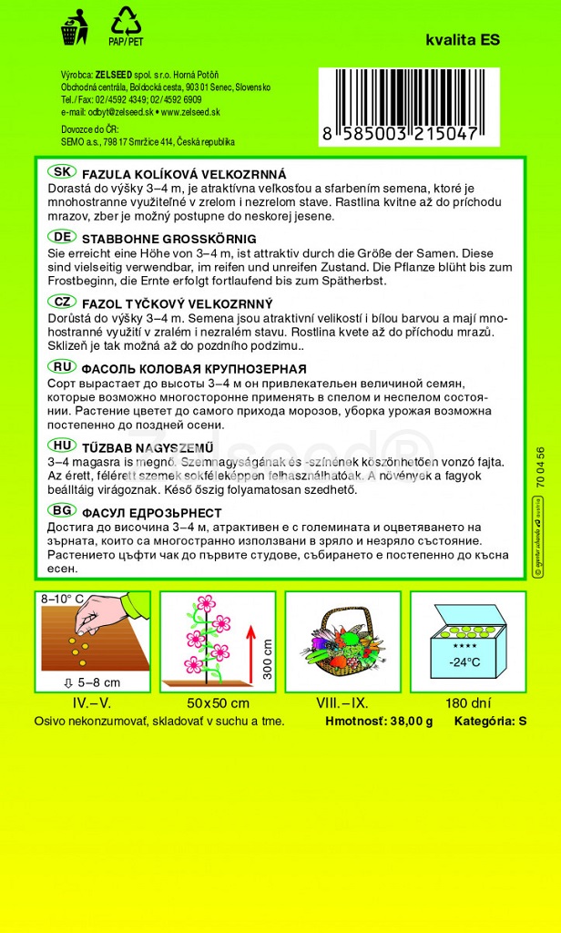 Fazol tyčkový na semeno Albena - velkozrnný, švábka, bílý (pěstování)