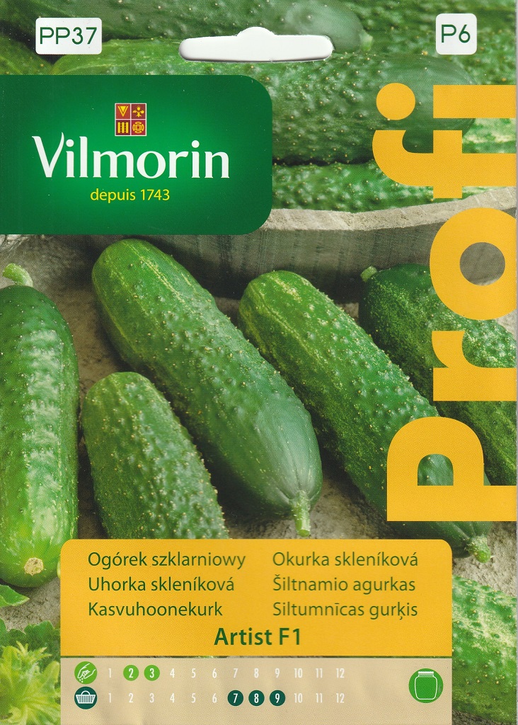 Okurka skleníková Artist F1 - nakládačka, hruboostná, partenokarpická (Vilmorin) Okurka skleníková Artist F1 - nakládačka, hruboostná, partenokarpická (Vilmorin)