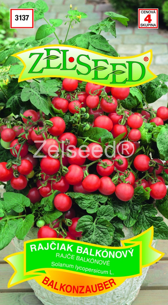 Rajče keříčkové Balkonzauber - balkónové (Zelseed) Rajče keříčkové Balkonzauber - balkónové (Zelseed)