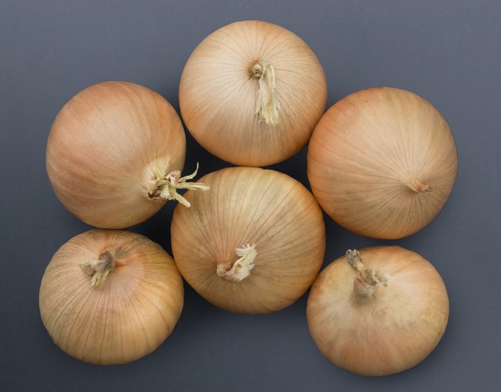 Cibule sazečka Bridger F1 - žlutá, kulovitá, ozimá (Bejo) Cibule sazečka Bridger F1 - žlutá, kulovitá, ozimá (Bejo)