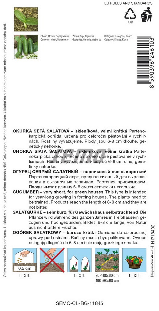 Okurka setá salátová Littlesnack F1 - mini hadovka, skleníková, velmi krátká (pěstování)