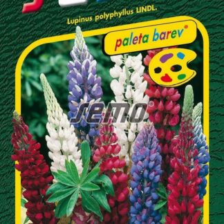 Lupina mnoholistá - vlčí bob, směs barev (Semo)