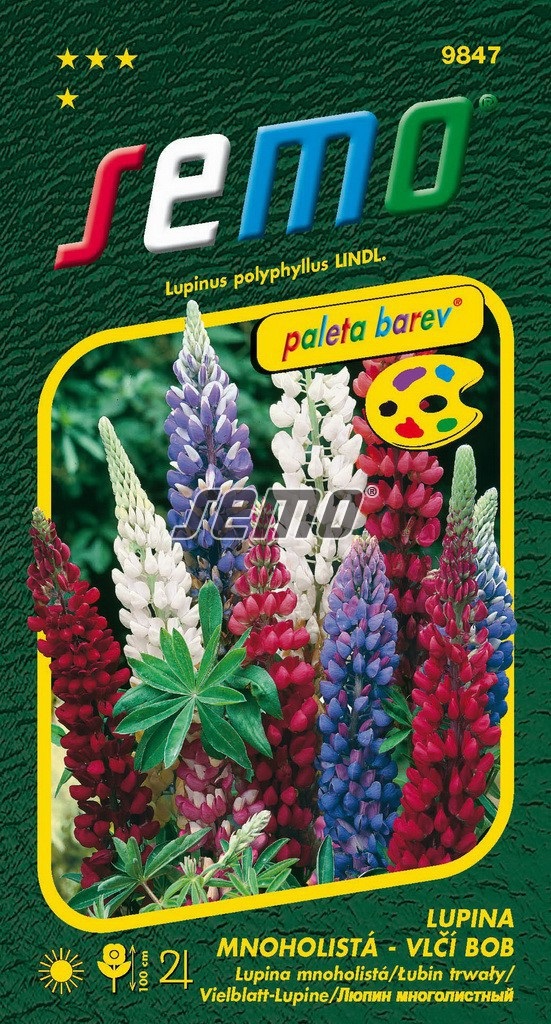 Lupina mnoholistá - vlčí bob, směs barev (Semo) Lupina mnoholistá - vlčí bob, směs barev (Semo)
