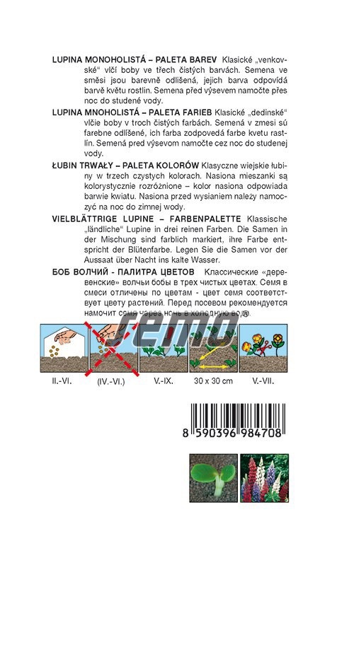 Lupina mnoholistá - vlčí bob, směs barev (pěstování) Lupina mnoholistá - vlčí bob, směs barev (pěstování)