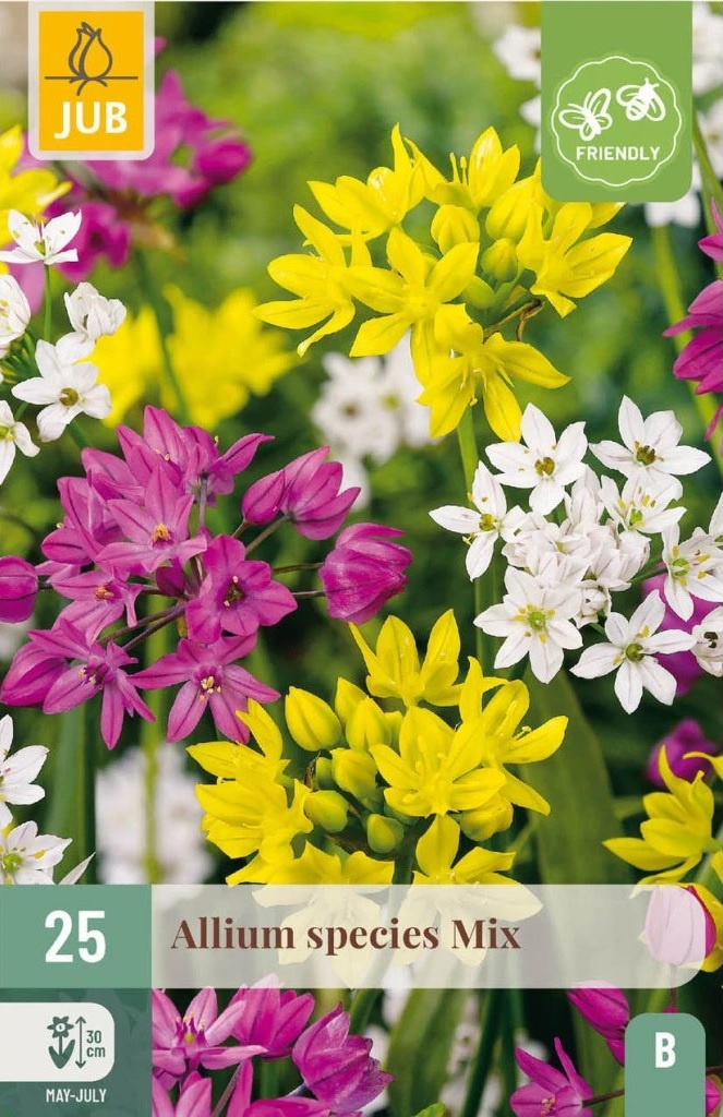 Okrasný česnek (nízký, 25 cibulí, směs, karta) Okrasný česnek (nízký, 25 cibulí, směs, karta)