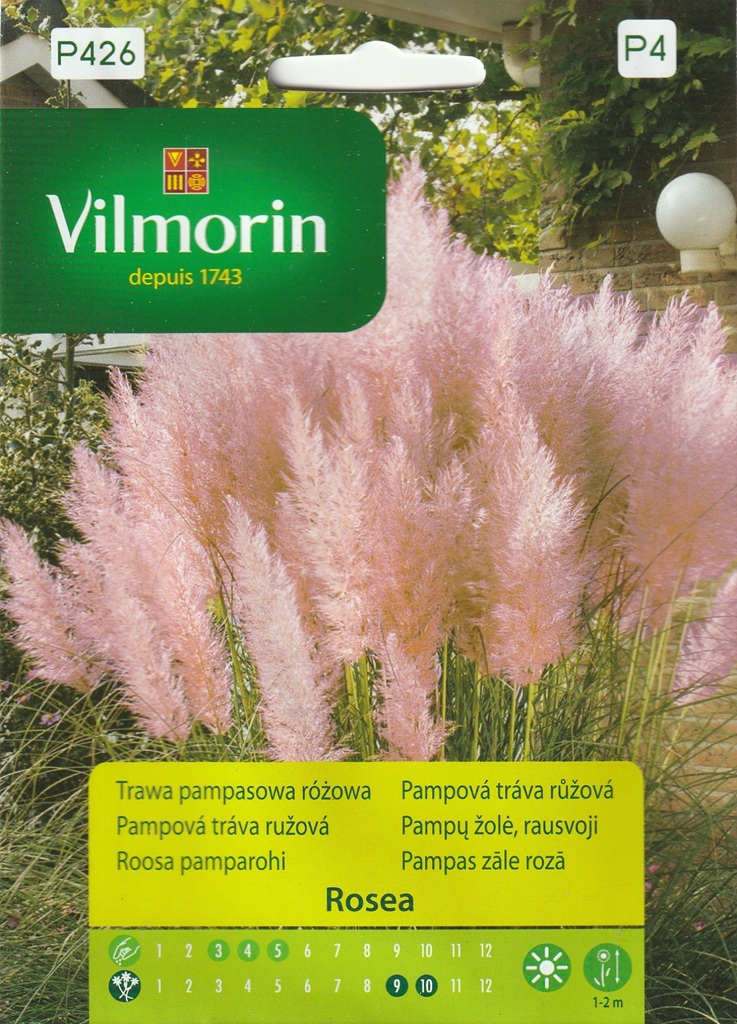 Pampová tráva Rosea - růžová (Vilmorin) Pampová tráva Rosea - růžová (Vilmorin)