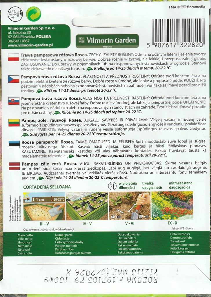 Pampová tráva Rosea - růžová (pěstování) Pampová tráva Rosea - růžová (pěstování)