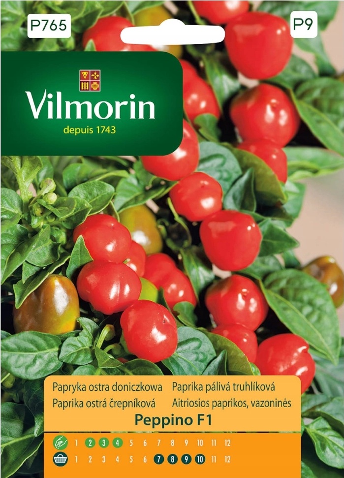 Paprika Peppino F1 - pálivá, truhlíková (Vilmorin) Paprika Peppino F1 - pálivá, truhlíková (Vilmorin)