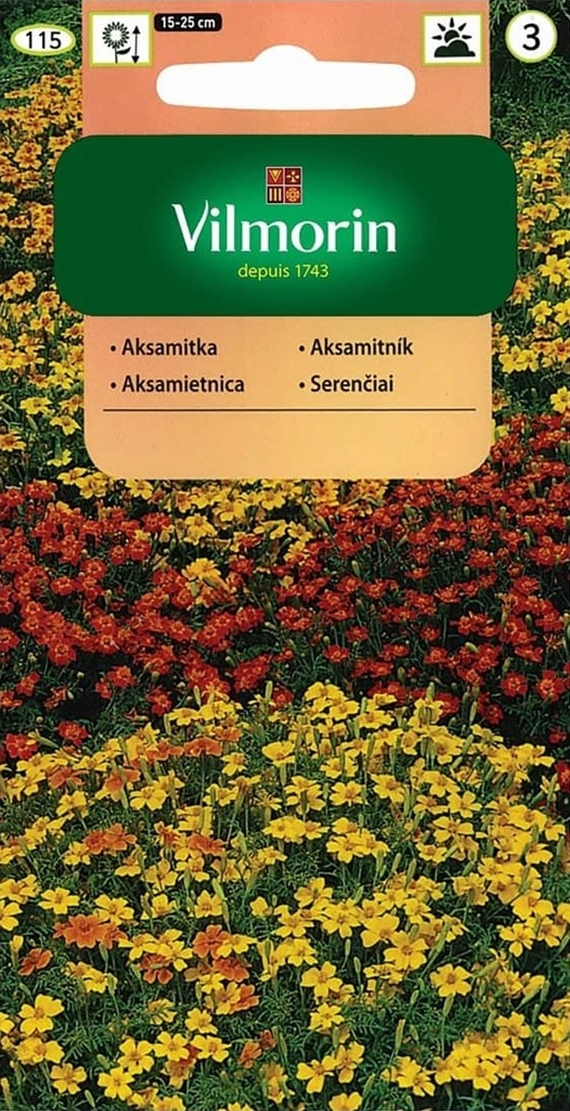 Aksamitník jemnolistý - směs (Vilmorin) Aksamitník jemnolistý - směs (Vilmorin)