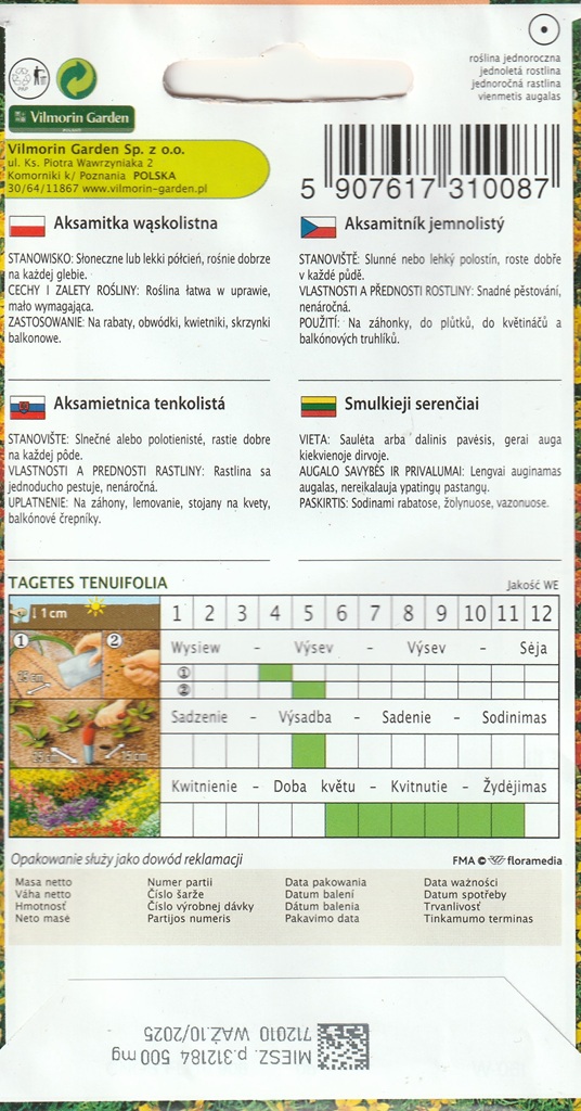 Aksamitník jemnolistý - směs (pěstování) Aksamitník jemnolistý - směs (pěstování)