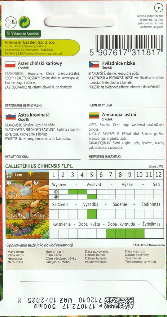 Astra čínská trpaslík Chochlik - hvězdnice nízká, červená (pěstování)