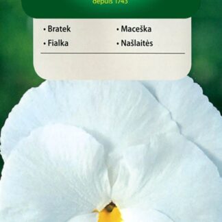 Maceška velkokvětá - švýcarská, bílá (Vilmorin)