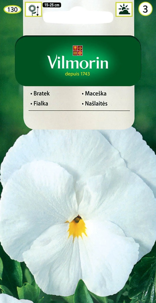 Maceška velkokvětá - švýcarská, bílá (Vilmorin) Maceška velkokvětá - švýcarská, bílá (Vilmorin)