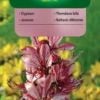 Třemdava bílá - růžová, Mojžíšův keř (Vilmorin)