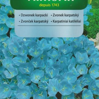 Zvonek karpatský - modrý (Vilmorin)