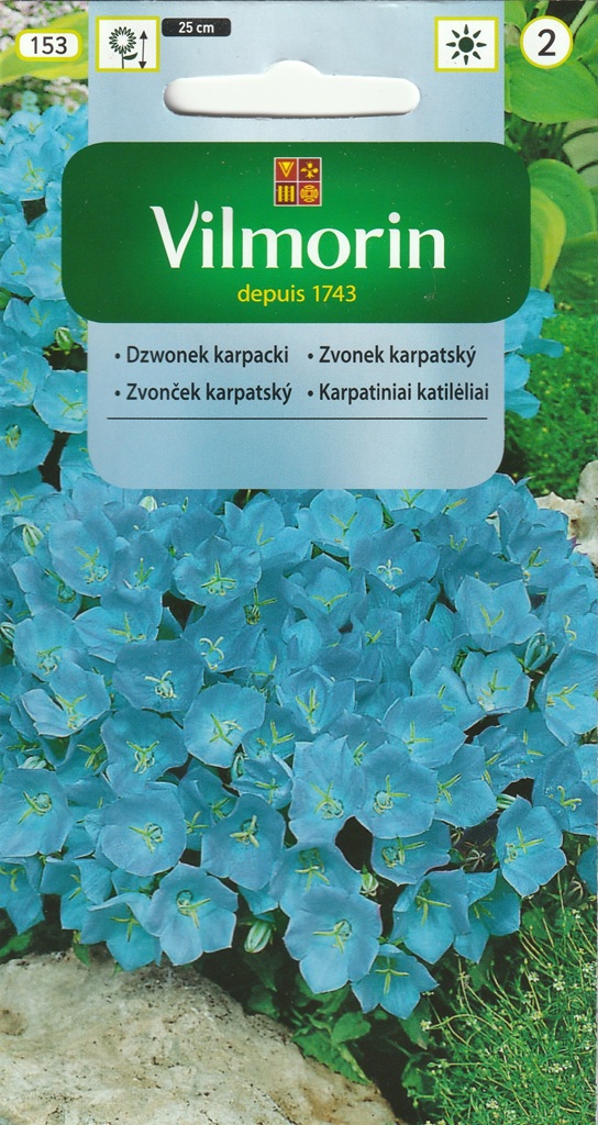 Zvonek karpatský - modrý (Vilmorin) Zvonek karpatský - modrý (Vilmorin)