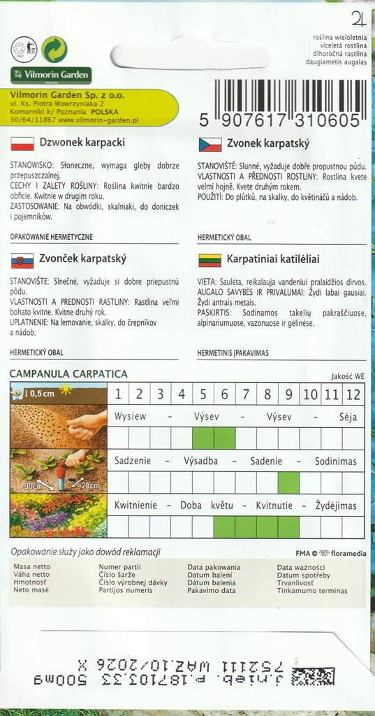 Zvonek karpatský - modrý (pěstování) Zvonek karpatský - modrý (pěstování)