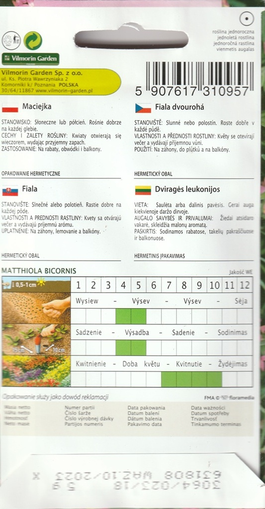 Fiala dvourohá - noční fiala, bílo-fialová (pěstování) Fiala dvourohá - noční fiala, bílo-fialová (pěstování)