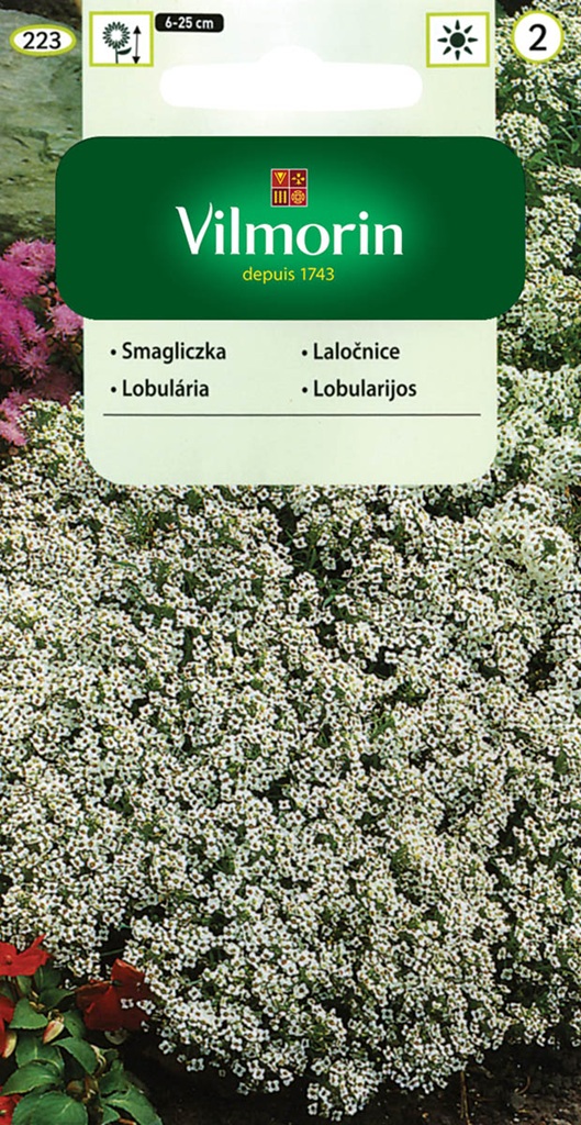 Laločnice přímořská - bílá (Vilmorin) Laločnice přímořská - bílá (Vilmorin)