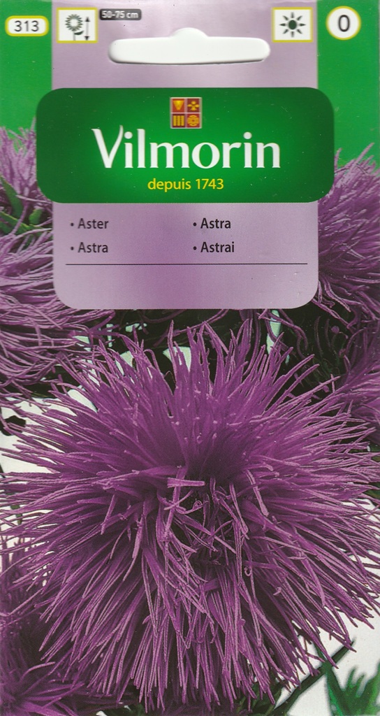 Astra čínská jehlicovitá - fialová (Vilmorin) Astra čínská jehlicovitá - fialová (Vilmorin)