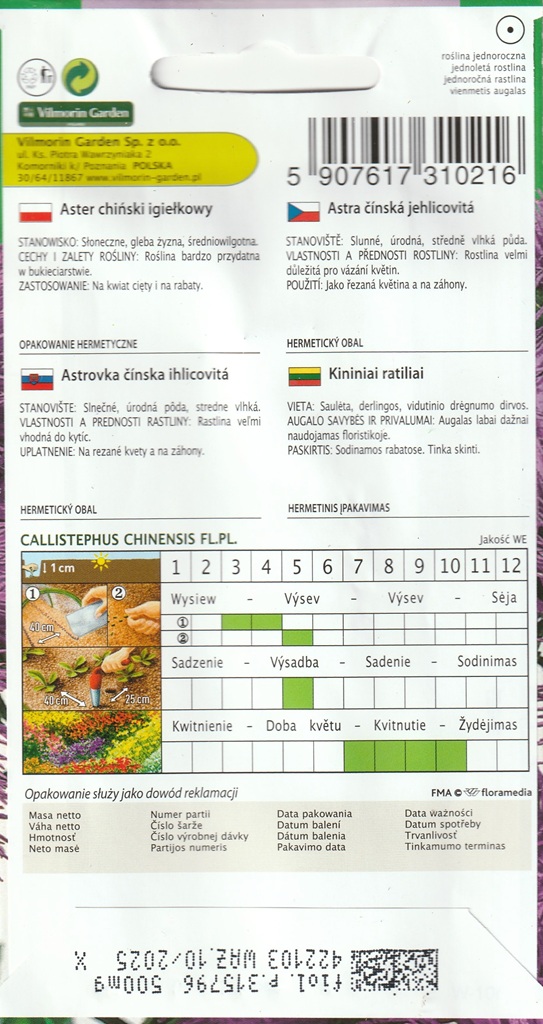 Astra čínská jehlicovitá - fialová (pěstování) Astra čínská jehlicovitá - fialová (pěstování)