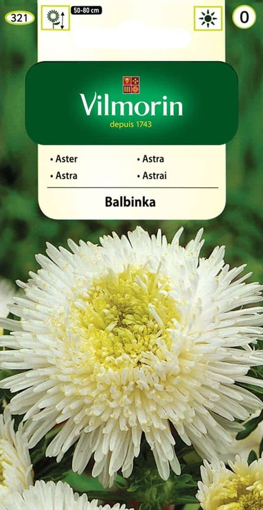 Astra čínská knížecí Balbinka - bílá (Vilmorin) Astra čínská knížecí Balbinka - bílá (Vilmorin)