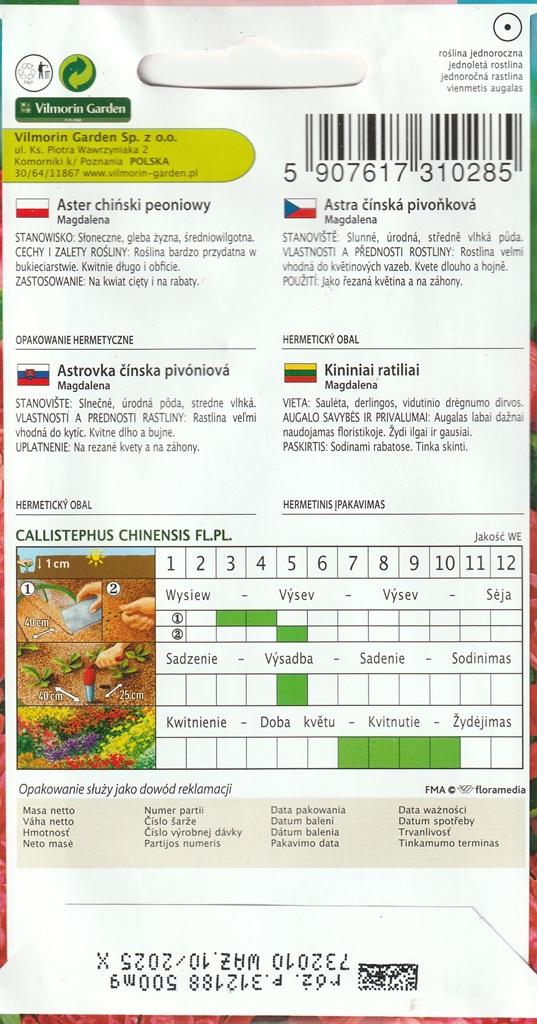 Astra čínská pivoňková Magdalena - růžovočervená (pěstování) Astra čínská pivoňková Magdalena - růžovočervená (pěstování)