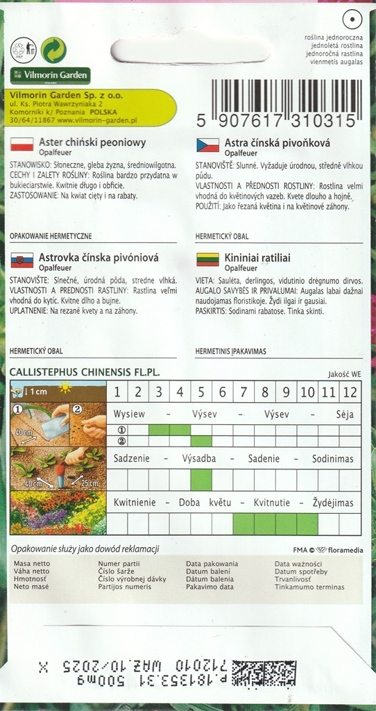 Astra čínská pivoňková Opalfeuer - fialovorůžová (pěstování) Astra čínská pivoňková Opalfeuer - fialovorůžová (pěstování)