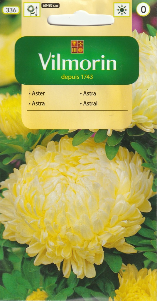 Astra čínská pivoňková Sonata - krémově žlutá (Vilmorin) Astra čínská pivoňková Sonata - krémově žlutá (Vilmorin)