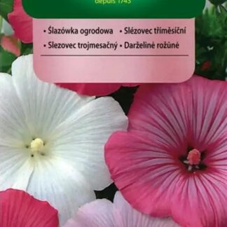 Slézovec tříměsíční - směs (Vilmorin)