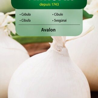 Cibule Avalon - bílá, kulovitá (Vilmorin)