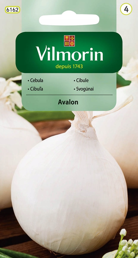 Cibule Avalon - bílá, kulovitá (Vilmorin) Cibule Avalon - bílá, kulovitá (Vilmorin)