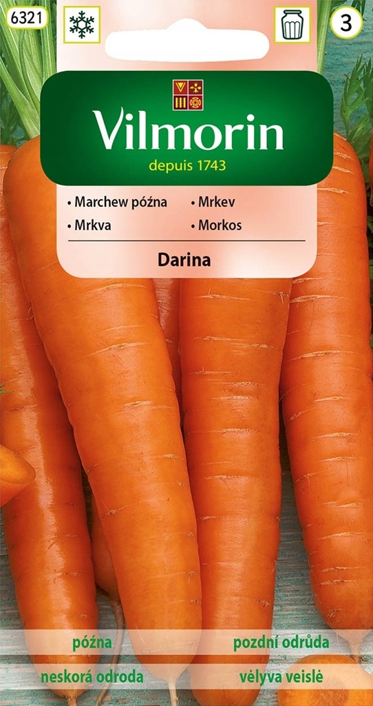 Mrkev Darina - pozdní, dlouhá, ke skladování, typ Berlikumer (Vilmorin) Mrkev Darina - pozdní, dlouhá, ke skladování, typ Berlikumer (Vilmorin)