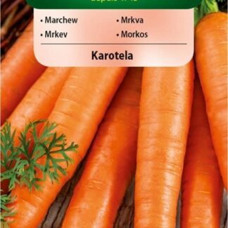 Mrkev obecná Karotela - poloraná, karotka, typ Nantes (Vilmorin)