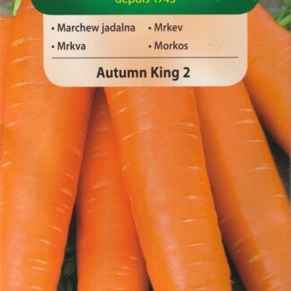Mrkev obecná Autumn King 2 - pozdní, velmi dlouhá, typ Flakkese (Vilmorin)