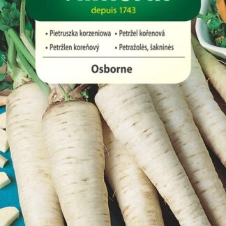 Petržel kořenová Osborne - velmi dlouhá, ke skladování (Vilmorin)