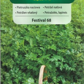 Petržel naťová Festival 68 - hladká, odolná padlí (Vilmorin)