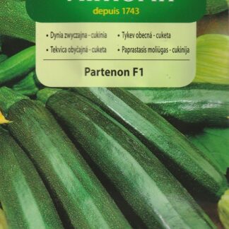 Cuketa (tykev obecná) Partenon F1 - partenokarpická, bezsemenná, tmavě zelená (Vilmorin)