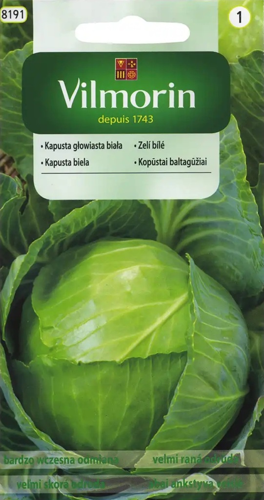 Zelí bílé Dita - velmi rané, světle zelené (Vilmorin) Zelí bílé Dita - velmi rané, světle zelené (Vilmorin)